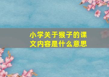 小学关于猴子的课文内容是什么意思