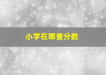 小学在哪查分数