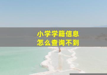 小学学籍信息怎么查询不到