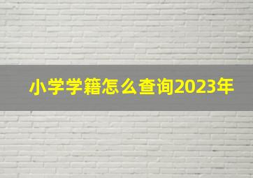 小学学籍怎么查询2023年