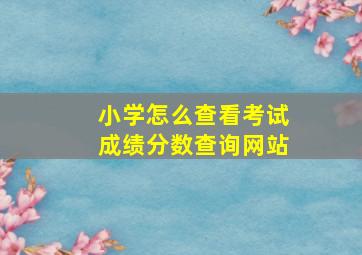 小学怎么查看考试成绩分数查询网站