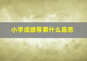 小学成绩等第什么意思