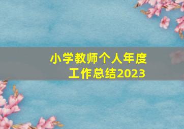 小学教师个人年度工作总结2023