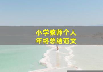 小学教师个人年终总结范文