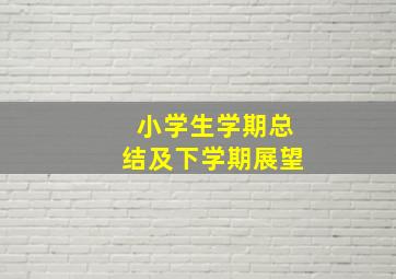 小学生学期总结及下学期展望