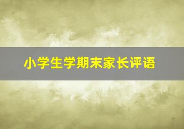 小学生学期末家长评语