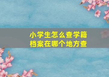 小学生怎么查学籍档案在哪个地方查