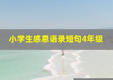 小学生感恩语录短句4年级