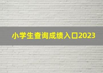 小学生查询成绩入口2023