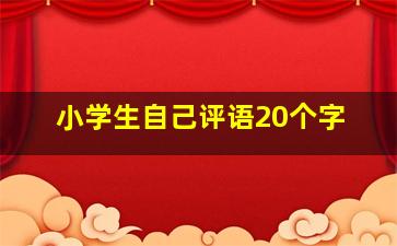 小学生自己评语20个字