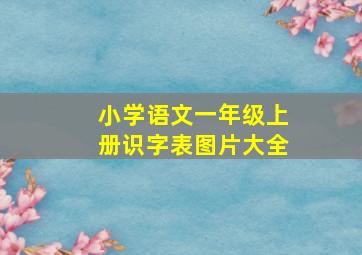 小学语文一年级上册识字表图片大全