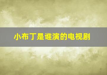 小布丁是谁演的电视剧