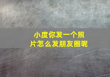 小度你发一个照片怎么发朋友圈呢