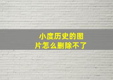 小度历史的图片怎么删除不了