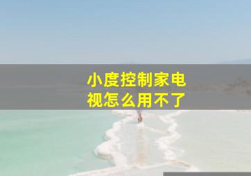 小度控制家电视怎么用不了