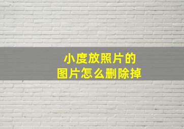 小度放照片的图片怎么删除掉