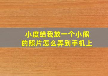 小度给我放一个小熊的照片怎么弄到手机上