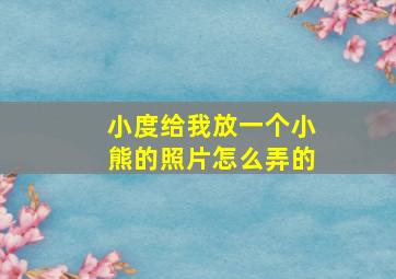 小度给我放一个小熊的照片怎么弄的