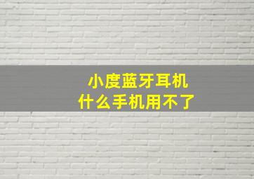 小度蓝牙耳机什么手机用不了