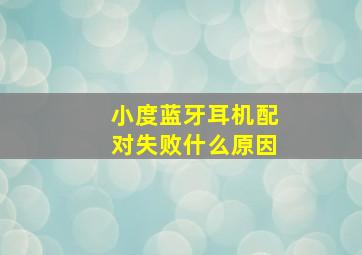 小度蓝牙耳机配对失败什么原因