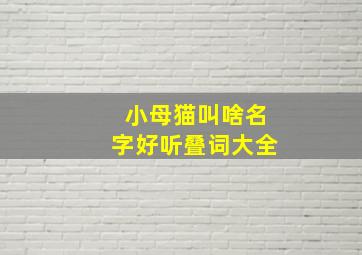 小母猫叫啥名字好听叠词大全