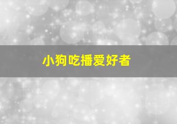 小狗吃播爱好者