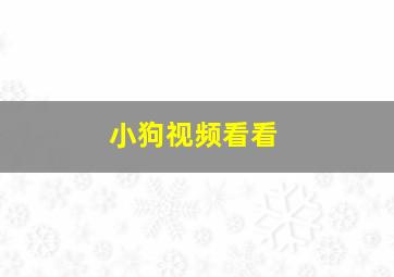 小狗视频看看