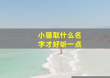 小猫取什么名字才好听一点