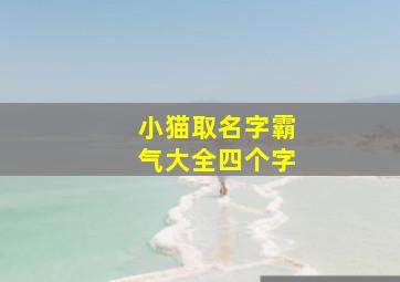 小猫取名字霸气大全四个字