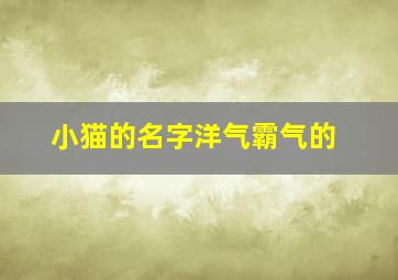 小猫的名字洋气霸气的