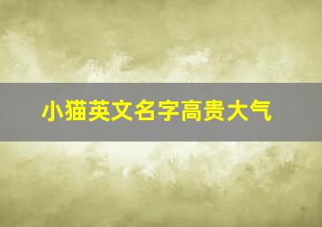 小猫英文名字高贵大气