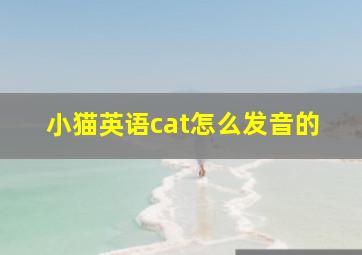 小猫英语cat怎么发音的