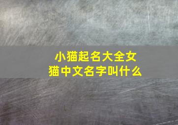 小猫起名大全女猫中文名字叫什么