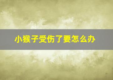 小猴子受伤了要怎么办