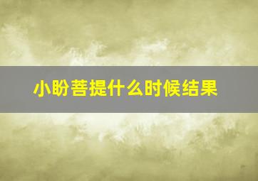 小盼菩提什么时候结果