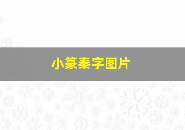 小篆秦字图片