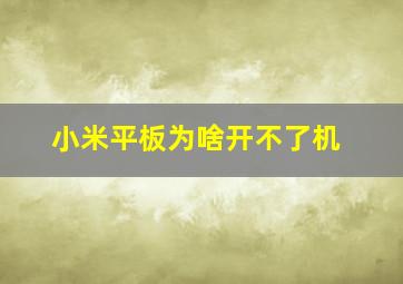 小米平板为啥开不了机