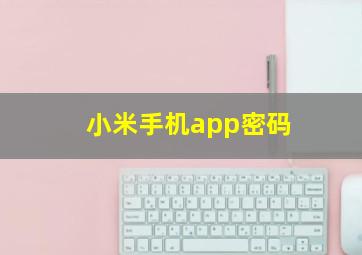 小米手机app密码