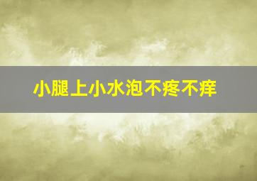 小腿上小水泡不疼不痒