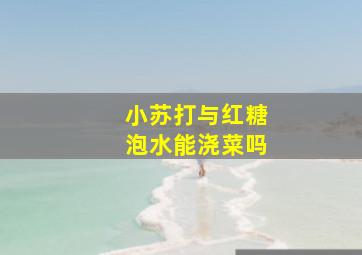 小苏打与红糖泡水能浇菜吗