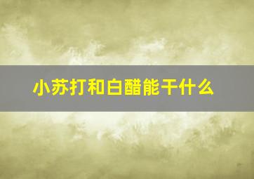 小苏打和白醋能干什么