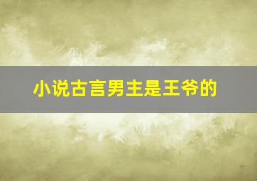 小说古言男主是王爷的