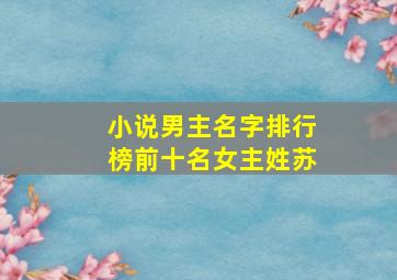 小说男主名字排行榜前十名女主姓苏