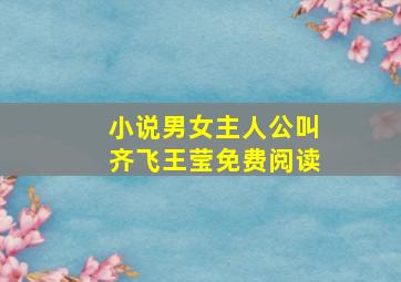 小说男女主人公叫齐飞王莹免费阅读