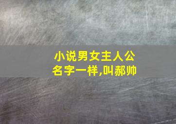 小说男女主人公名字一样,叫郝帅