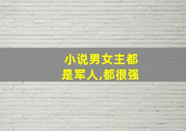 小说男女主都是军人,都很强