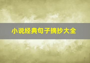 小说经典句子摘抄大全