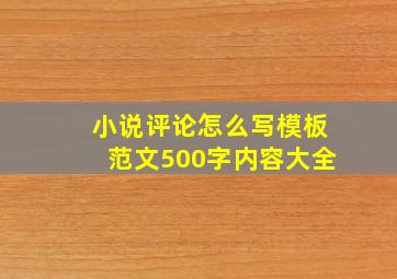 小说评论怎么写模板范文500字内容大全