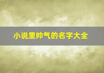 小说里帅气的名字大全