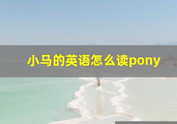 小马的英语怎么读pony